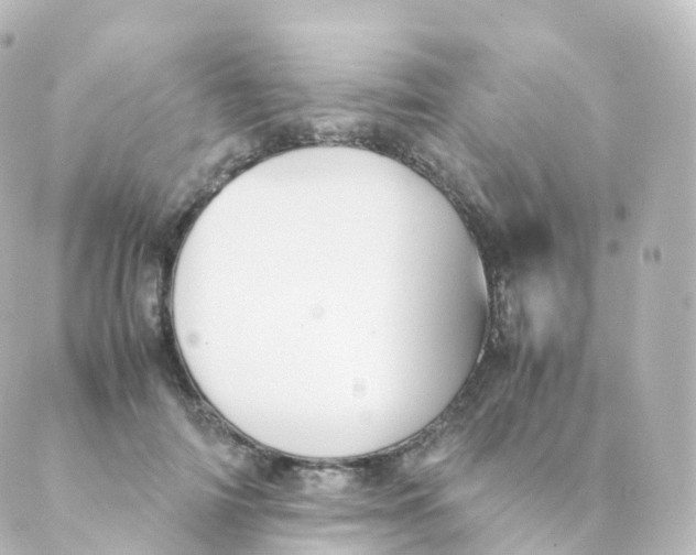 X0000088640698200706221546