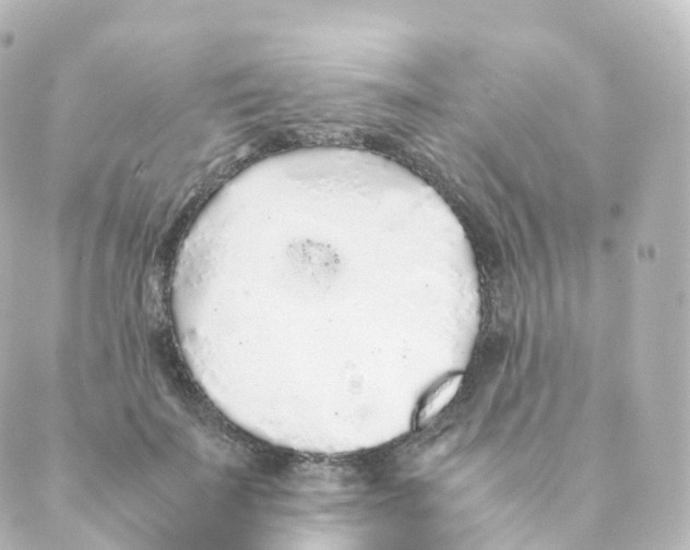 X0000088640699200706221546