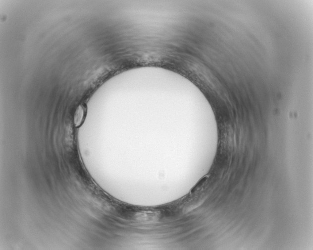 X0000088640700200706221546