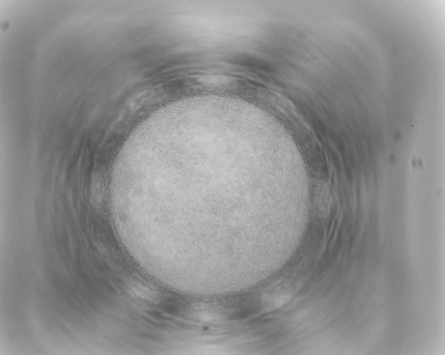 X0000088640701200706221546