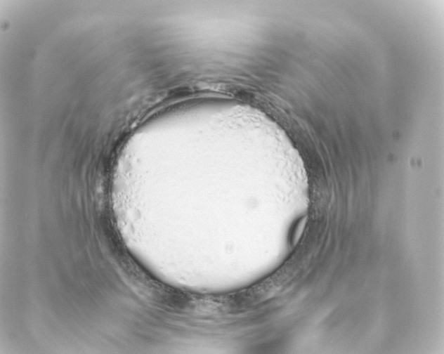 X0000088640703200706221546