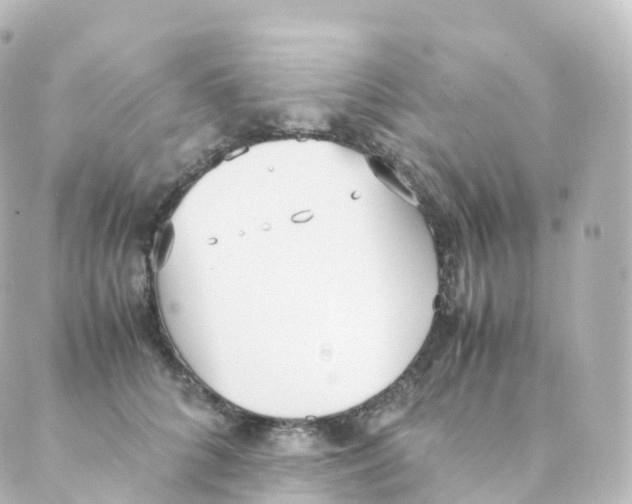 X0000088640704200706221546