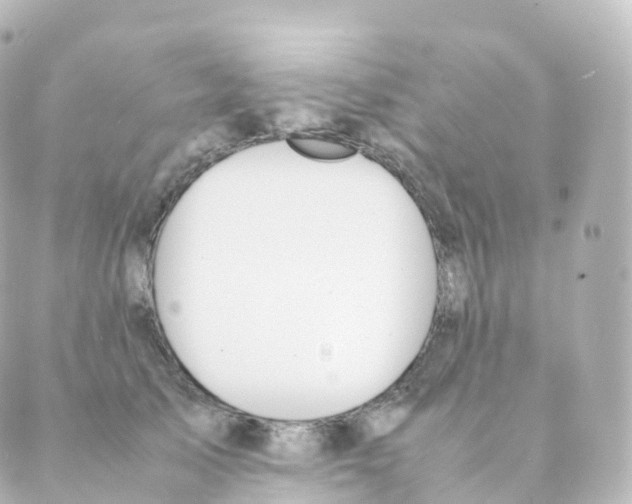 X0000088640705200706221546