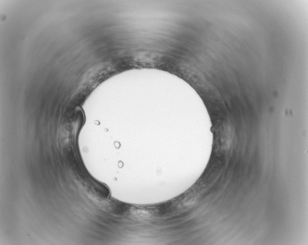 X0000088640706200706221546