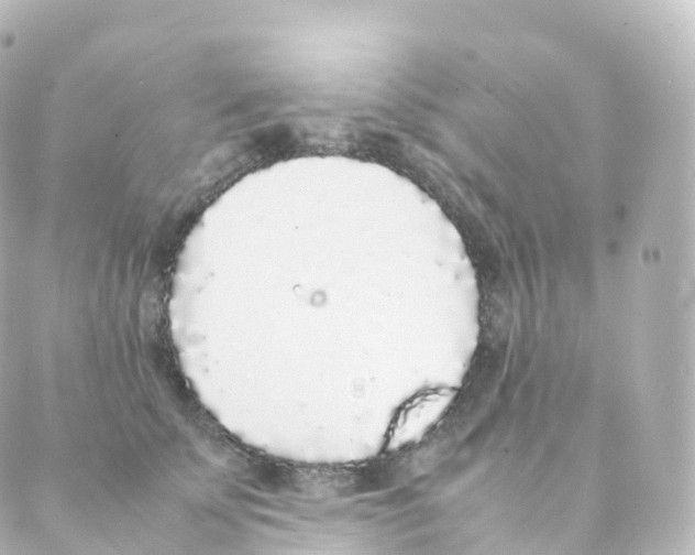 X0000088640707200706221546