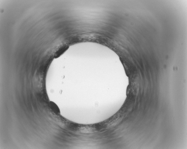 X0000088640708200706221546