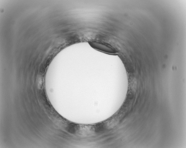 X0000088640709200706221546