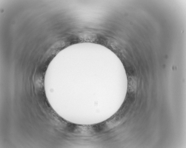 X0000088640713200706221546