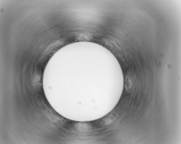 X0000088640714200706221546