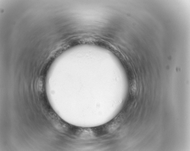 X0000088640715200706221546