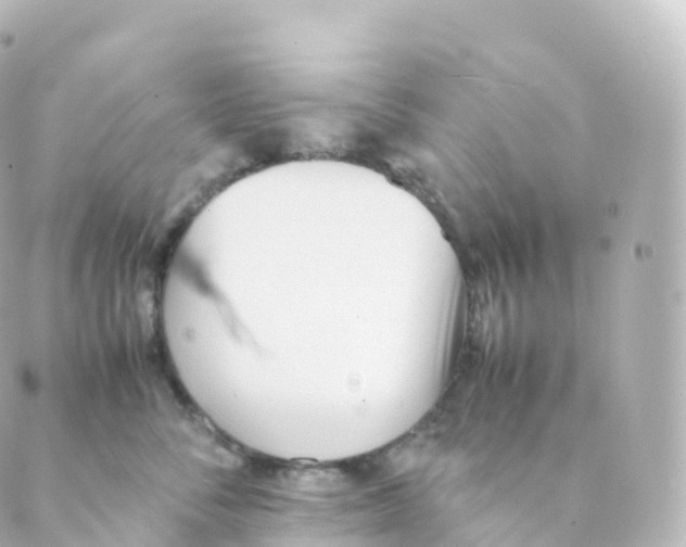 X0000088640716200706221546