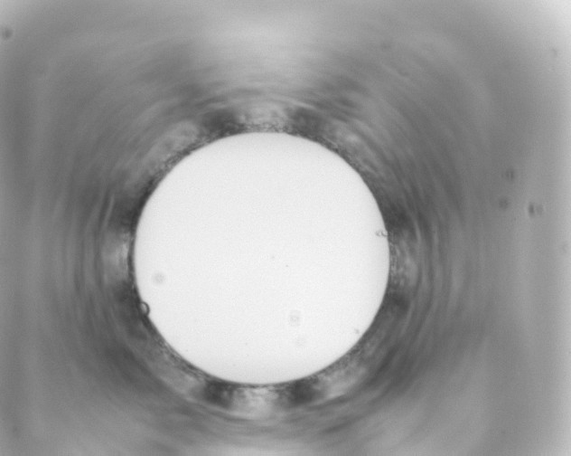 X0000088640717200706221546