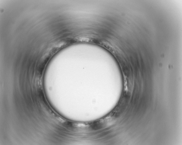 X0000088640718200706221546