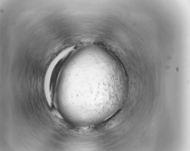 X0000088640720200706221545