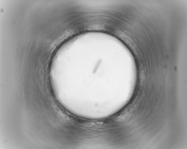 X0000088640721200706221545