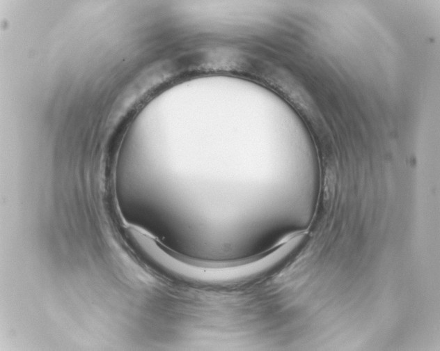 X0000088640722200706221545