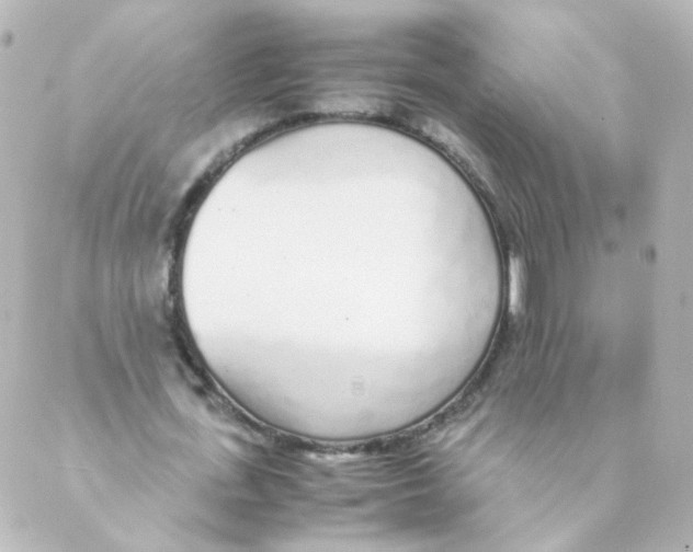 X0000088640723200706221545