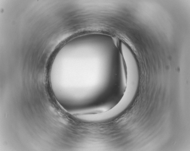 X0000088640724200706221545