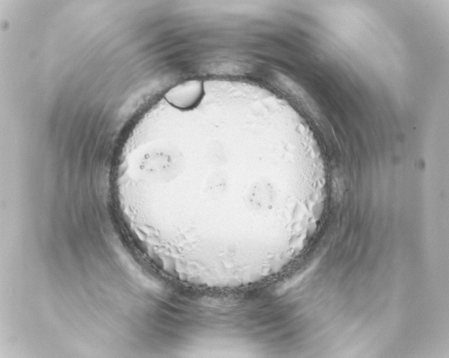 X0000088640725200706221545