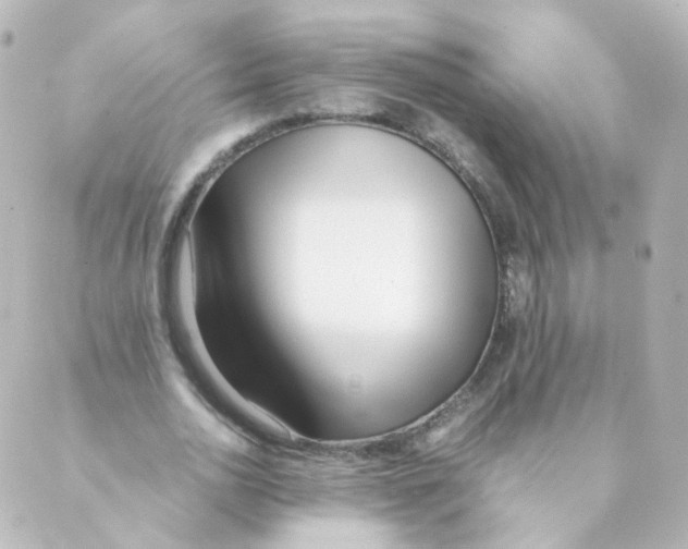 X0000088640726200706221545