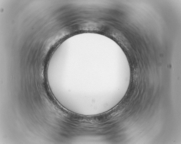 X0000088640727200706221545