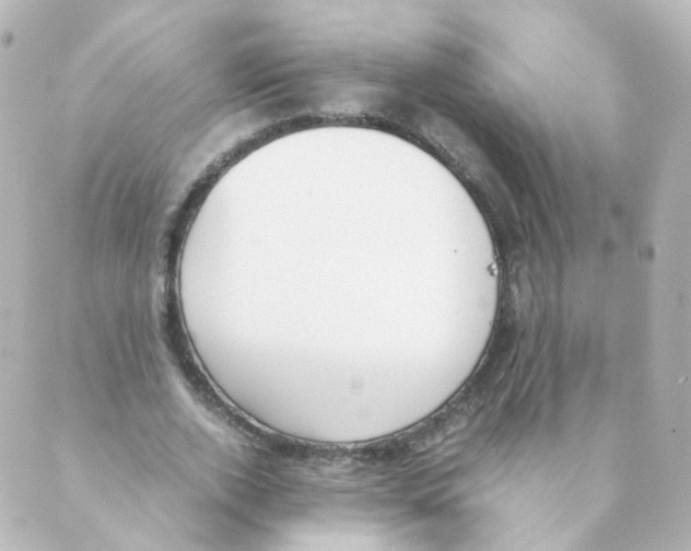 X0000088640728200706221545