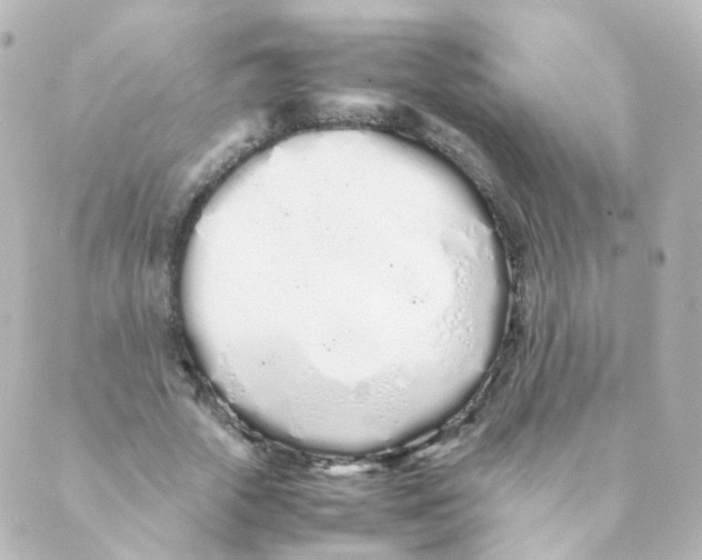 X0000088640729200706221545