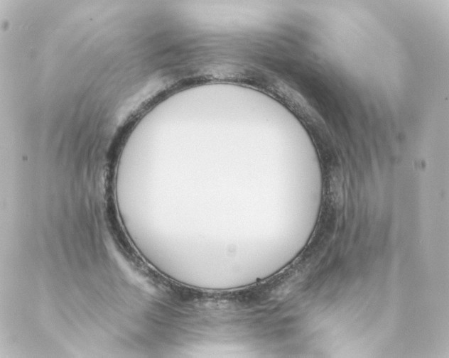 X0000088640730200706221545