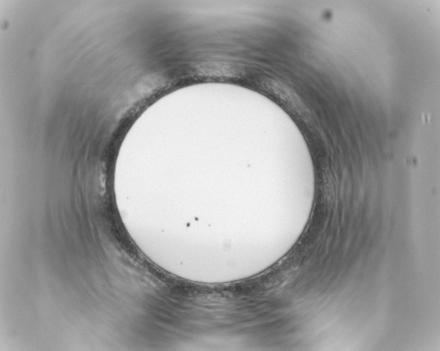 X0000088640731200706221545