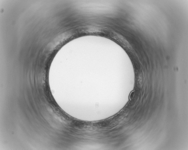 X0000088640732200706221545