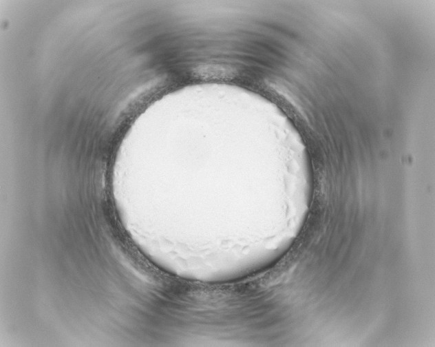 X0000088640733200706221545