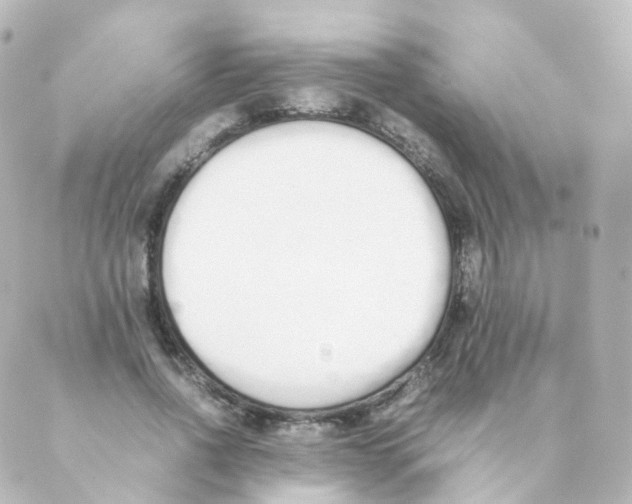 X0000088640734200706221545