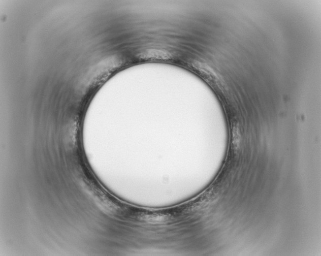 X0000088640735200706221545