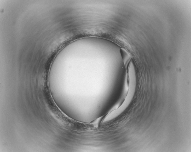 X0000088640736200706221545