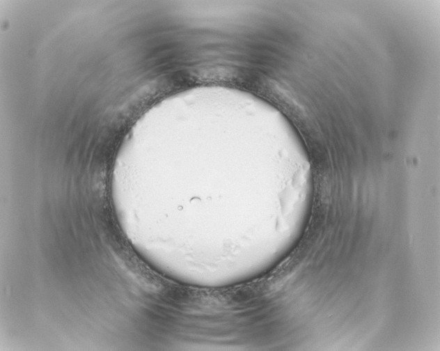 X0000088640737200706221545