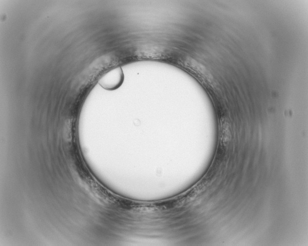 X0000088640738200706221545