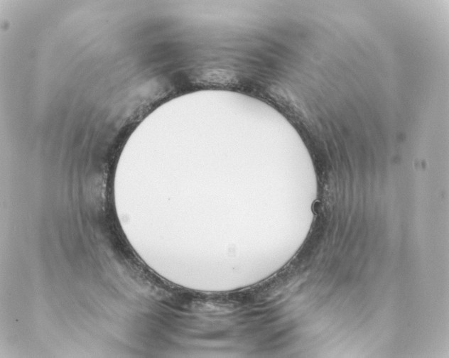 X0000088640739200706221545