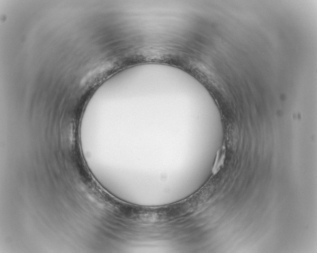 X0000088640740200706221545