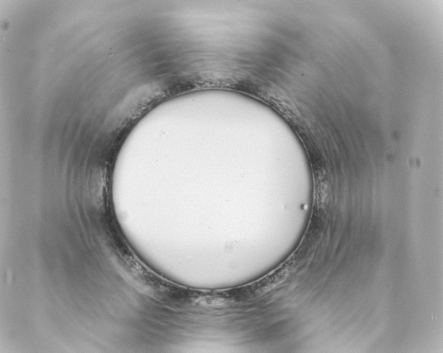 X0000088640742200706221545