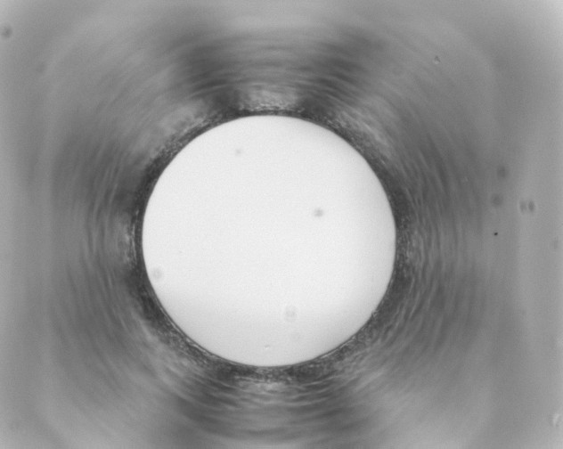 X0000088640743200706221545