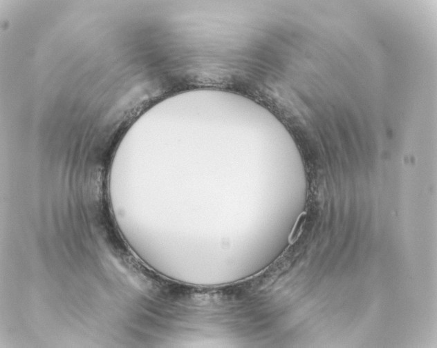 X0000088640744200706221545