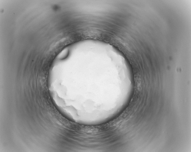 X0000088640745200706221545