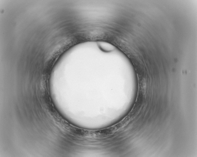 X0000088640746200706221545