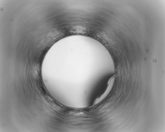 X0000088640747200706221545