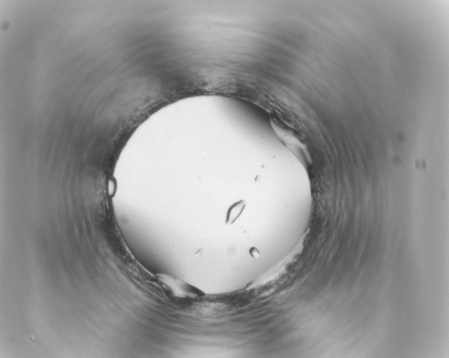 X0000088640748200706221545