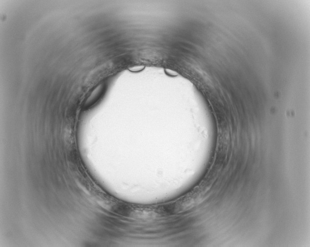 X0000088640749200706221545