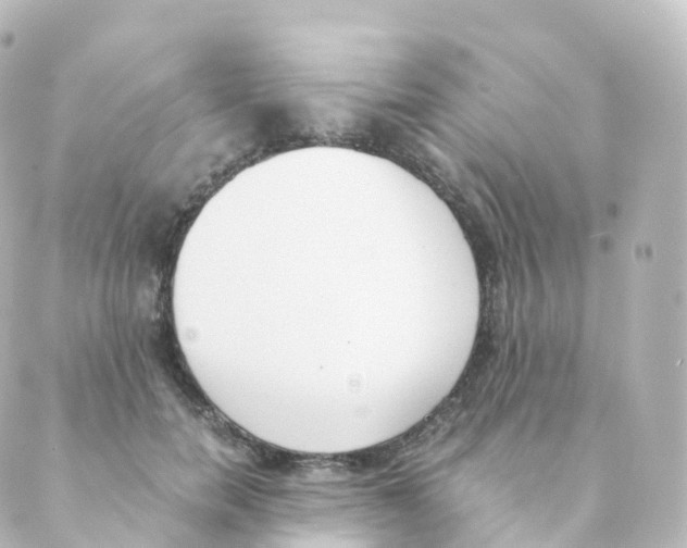 X0000088640750200706221545