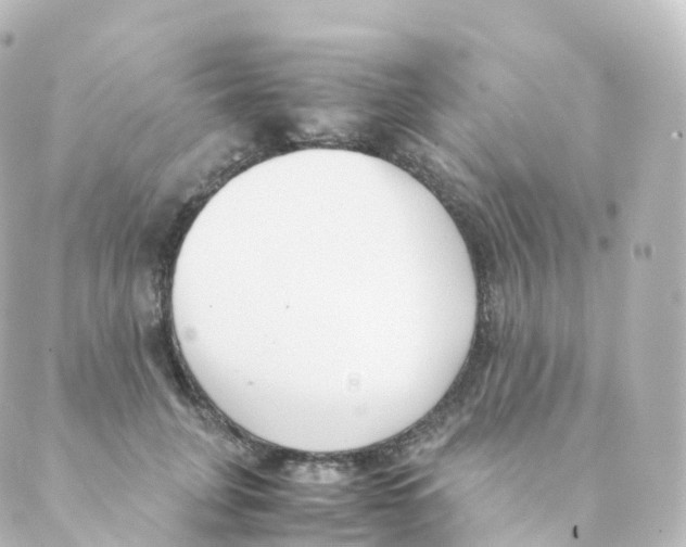 X0000088640751200706221545