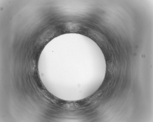 X0000088640752200706221545