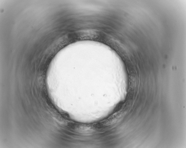 X0000088640753200706221545